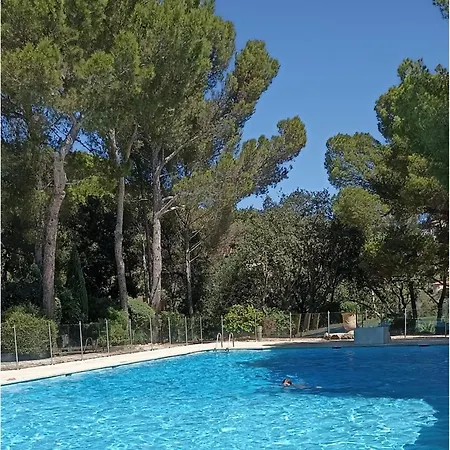 Paradis Bleu *