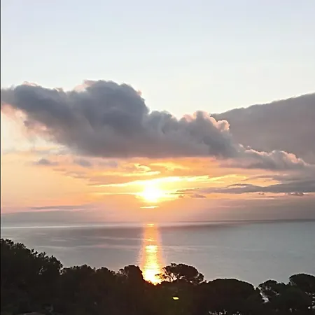 Paradis Bleu