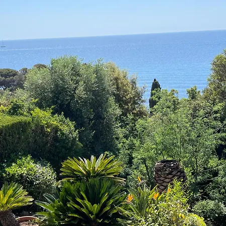 Paradis Bleu