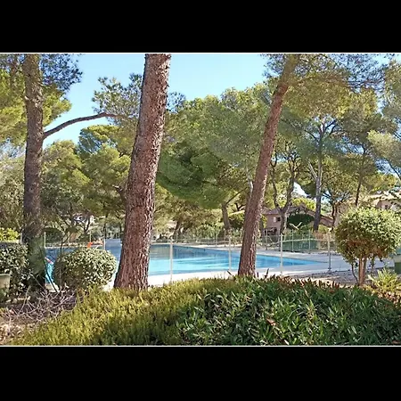 Apartment Paradis Bleu *