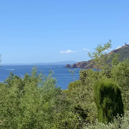 Paradis Bleu *